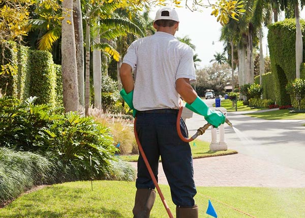 About Milo IA Pest Control